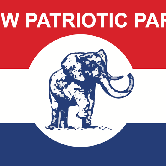 NPP Youth Wing to Stage Protest Against Police Harassment