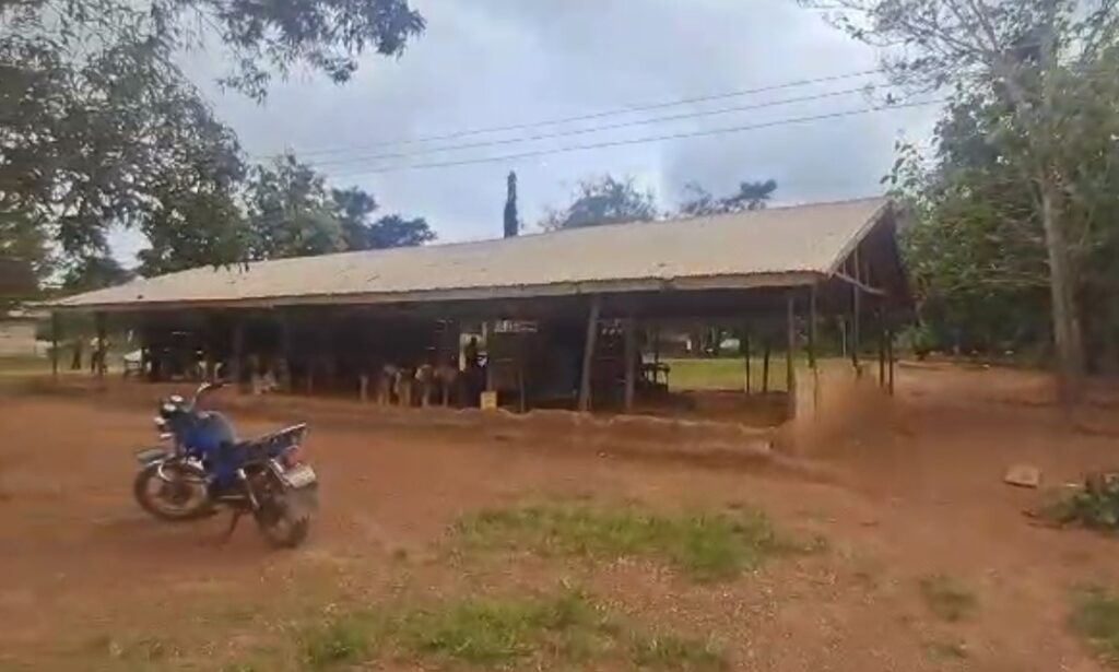 SNAKES, STRAY ANIMALS INVADE MENANG D/A SCHOOL: A WAKE-UP CALL ON RURAL NEGLECT